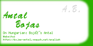 antal bojas business card